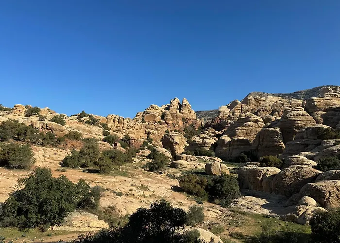 Dana\'S Trail Hotel