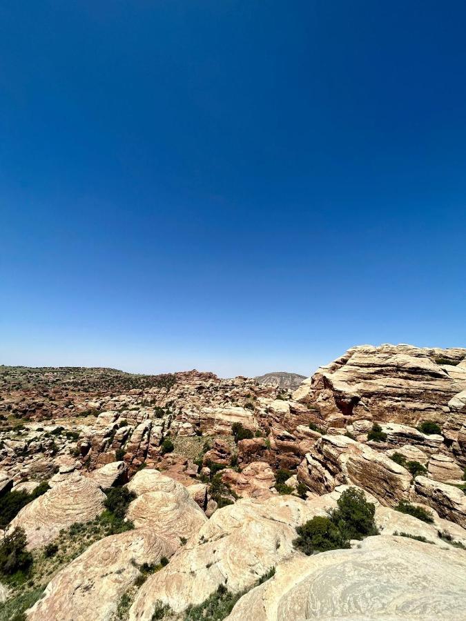 Dana's Trail Hotel *