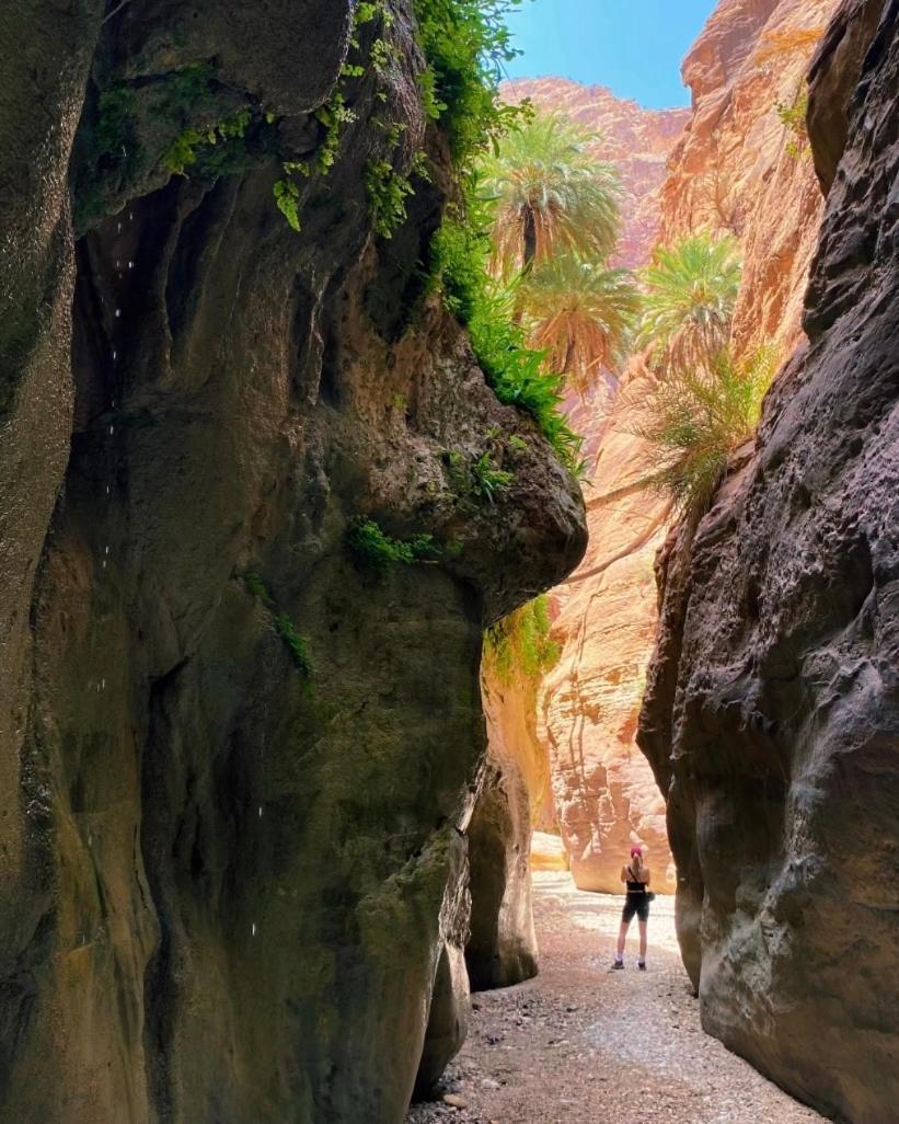 Hotel Dana's Trail