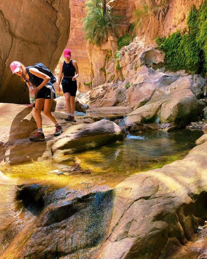 Dana's Trail